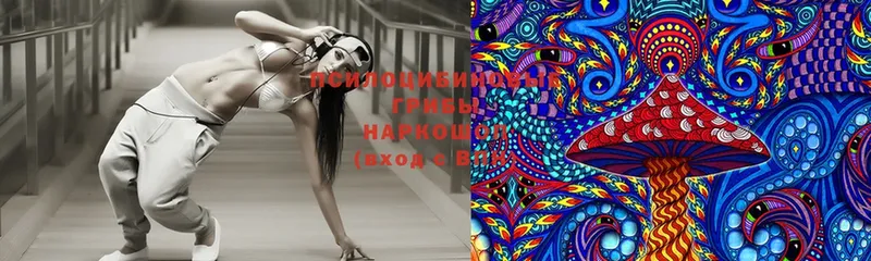 Псилоцибиновые грибы Magic Shrooms  Сарапул 